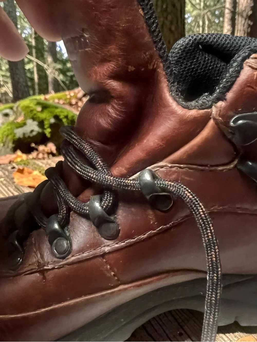 Dunham Mountaineering/Hiking Booties Size W/7 GUC!